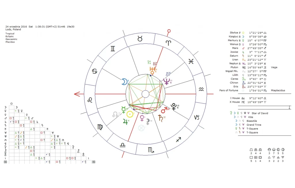 horoskop urodzeniowy profesjonalny